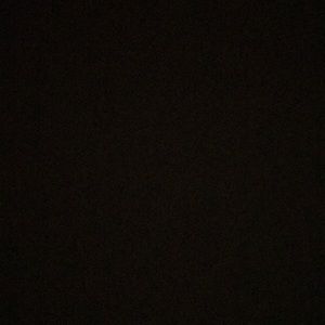 Meet your Posher, Sienna